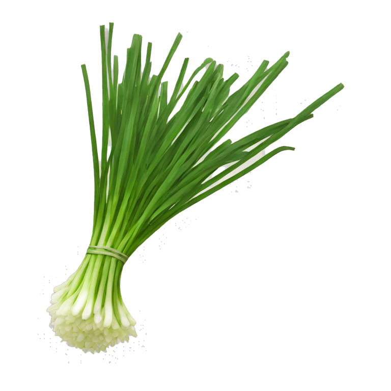 Chives